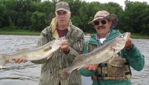 Mississippi River Fish Advisories, PCB Reports