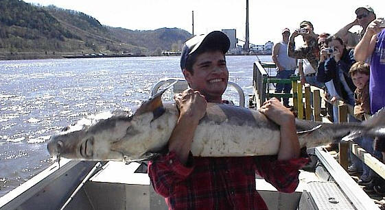 Mississippi River Fishing: Mark Clements, Genoa Fishing Barge, and