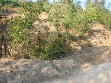 Mudslides line roadside and scar hillsides nearly two weeks after the rains. Damage to roads and bridges seems overwhelming because it is such a vast area!