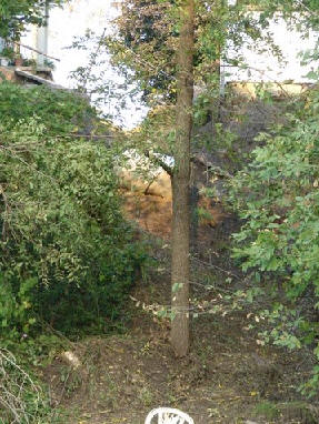 Follow this fresh wash up behind the tree... house on the left is barely clinging to solid ground. Such ravines simply weren't there a few days earlier!