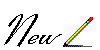 new2a.gif (4898 bytes)