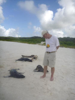 Rich stood on the beach as several sea lion pups came up to have a sniff.