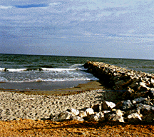 The beaches of the Camargue are among the least touristed on the Mediterranean.