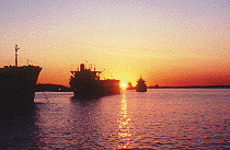 Sunset Boats.GIF (22337 bytes)