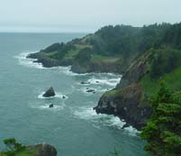 We found a wealth of varied terrain, wildlife, and beautiful scenery along the Oregon coast. Roads were great, towns had character!