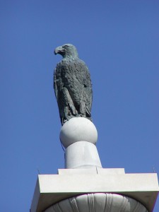 Old Abe, Vicksburg